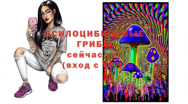 винт Алексеевка