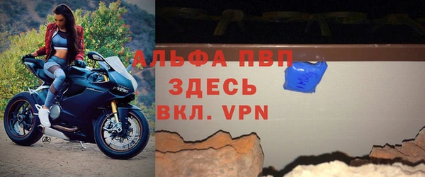 шишки Абаза