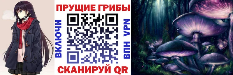 кракен как войти  купить закладку  Инсар  Псилоцибиновые грибы мухоморы 